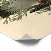 Audubon Zedrachswachsflügel-Vogel Poster (Ecke)
