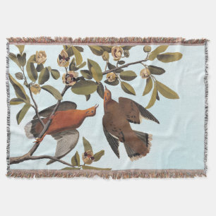 Audubon Zenaida Dove mit Blume Decke
