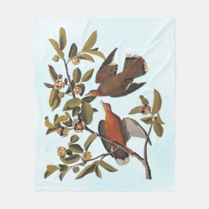 Audubon Zenaida Dove mit Blume Fleecedecke