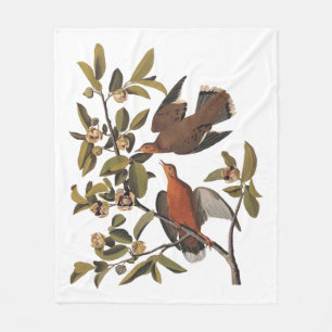 Audubon Zenaida Dove mit Blume Fleecedecke