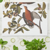 Audubon Zenaida Dove mit Blume Geschirrtuch (Gefaltet)