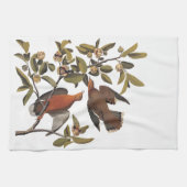 Audubon Zenaida Dove mit Blume Geschirrtuch (Horizontal)