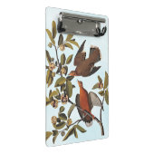 Audubon Zenaida Dove mit Blume Mini Klemmbrett (Schrägansicht)