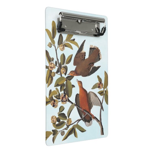Audubon Zenaida Dove mit Blume Mini Klemmbrett (Schrägansicht)