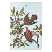 Audubon Zenaida Dove mit Blume Mini Klemmbrett (Rückseite)
