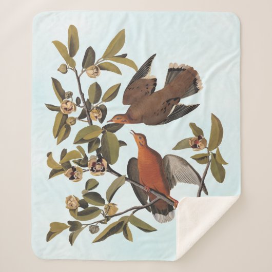 Audubon Zenaida Dove mit Blume Sherpadecke (Vorderseite)