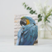 Audubon Zoo Postkarte (Stehend Vorderseite)
