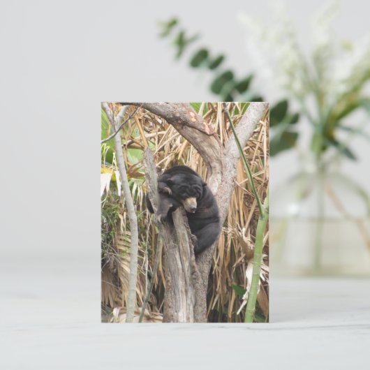 Audubon Zoo Postkarte (Stehend Vorderseite)