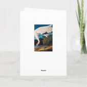 Audubons Amerikaner Hooping Kran Karte (Rückseite)