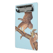 Audubon's Barred Owl and Eichhörnchen Odd Friends Mini Klemmbrett (Gewinkelt2)