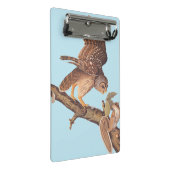Audubon's Barred Owl and Eichhörnchen Odd Friends Mini Klemmbrett (Schrägansicht)