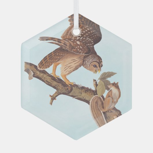 Audubon's Barred Owl and Eichhörnchen Odd Friends Ornament Aus Glas (Vorderseite)