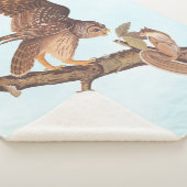 Audubon's Barred Owl and Eichhörnchen Odd Friends Sherpadecke (3/4)