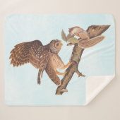 Audubon's Barred Owl and Eichhörnchen Odd Friends Sherpadecke (Vorderseite (Horizontal))