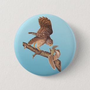 Audubon's Barred Owl and Happy Squirrel Friends Button