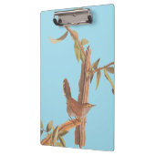 Audubons Bewick's Long Tail Wren Song Bird Klemmbrett (Links)