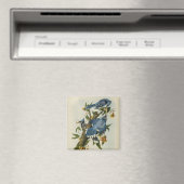 Audubons blaue Jay Magnet (In Situ (Geschirrspüler))