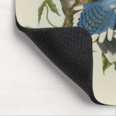 Audubons blaue Jay Mousepad (Ecke)