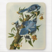 Audubons blaue Jay Mousepad (Vorne)
