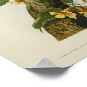 Audubons blaue Jay Poster (Ecke)