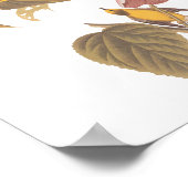 Audubons Blauflügelige Gelbe Warbler Song Birds Poster (Ecke)