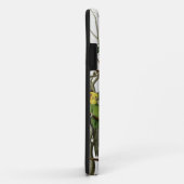 Audubons Carolina Parakeet Case-Mate iPhone Hülle (Hinten/Rechts)