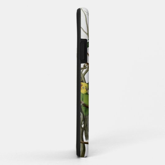 Audubons Carolina Parakeet Case-Mate iPhone Hülle (Hinten/Rechts)