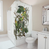 Audubons Carolina Parakeet Duschvorhang (Beispiel)