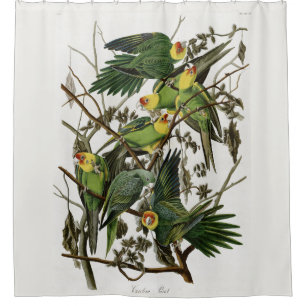 Audubons Carolina Parakeet Duschvorhang