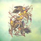 Audubons Carolina Parakeet Fensteraufkleber (Blatt 3)