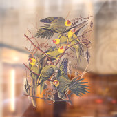 Audubons Carolina Parakeet Fensteraufkleber (Blatt 2)