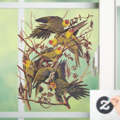 Audubons Carolina Parakeet Fensteraufkleber (Zuhause)