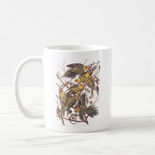 Audubons Carolina Parakeet Kaffeetasse (Links)