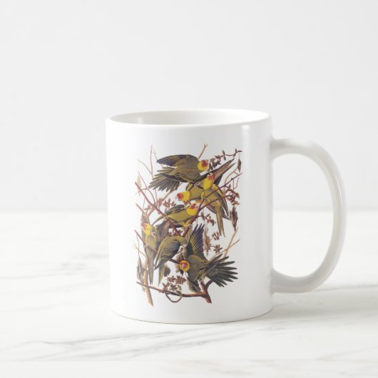 Audubons Carolina Parakeet Kaffeetasse (Rechts)