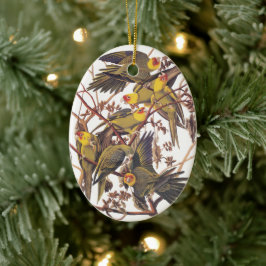 Audubons Carolina Parakeet Keramik Ornament
