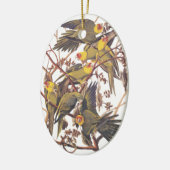 Audubons Carolina Parakeet Keramik Ornament (Links)