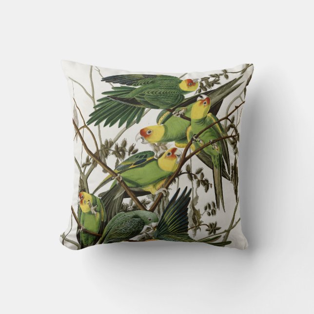 Audubons Carolina Parakeet Kissen (Vorderseite)