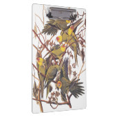 Audubons Carolina Parakeet Klemmbrett (Rechts)