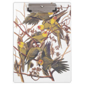 Audubons Carolina Parakeet Klemmbrett (Vorderseite)