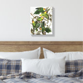 Audubons Carolina Parakeet Leinwanddruck (Insitu (Schlafzimmer))
