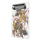 Audubons Carolina Parakeet Mini Klemmbrett (Gewinkelt2)