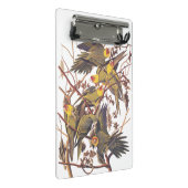 Audubons Carolina Parakeet Mini Klemmbrett (Schrägansicht)