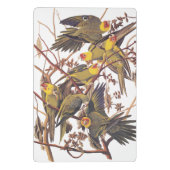 Audubons Carolina Parakeet Mini Klemmbrett (Rückseite)