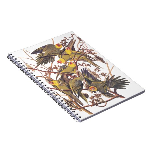 Audubons Carolina Parakeet Notizblock (Rechte Seite)