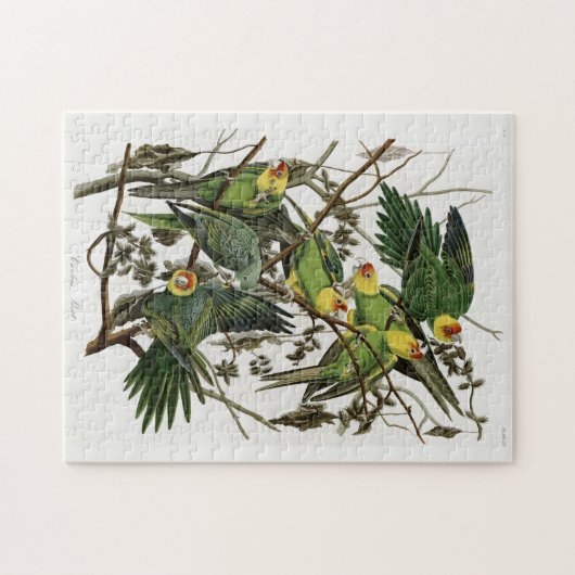 Audubons Carolina Parakeet Puzzle (Horizontal)