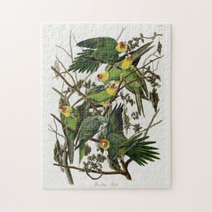 Audubons Carolina Parakeet Puzzle