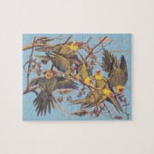 Audubons Carolina Parakeet Puzzle (Horizontal)