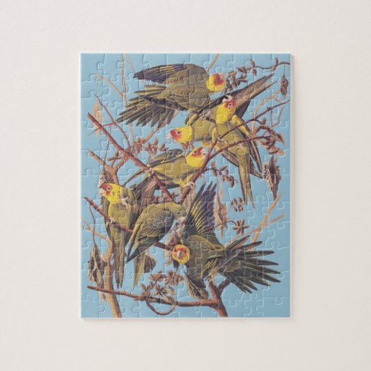 Audubons Carolina Parakeet Puzzle (Vertikal)