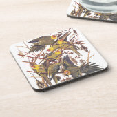 Audubons Carolina Parakeet Untersetzer (Linke Seite)