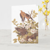 Audubons Carolina-Schildkröte-Taube Karte (Gelbe Blume)